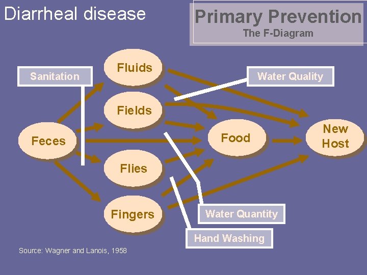 Diarrheal disease Primary Prevention The F-Diagram Sanitation Fluids Water Quality Fields Food Feces Flies