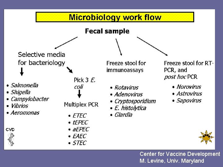 Center for Vaccine Development M. Levine, Univ. Maryland 