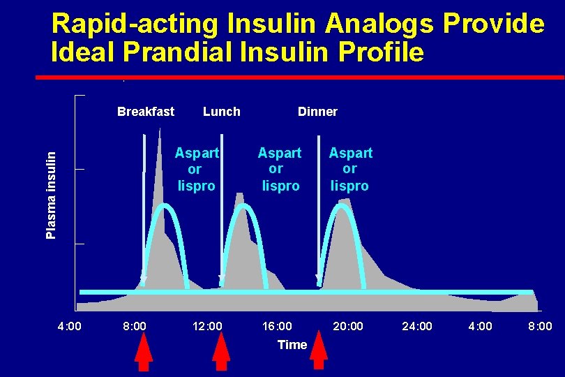 Rapid-acting Insulin Analogs Provide Ideal Prandial Insulin Profile Breakfast Lunch Plasma insulin Aspart or