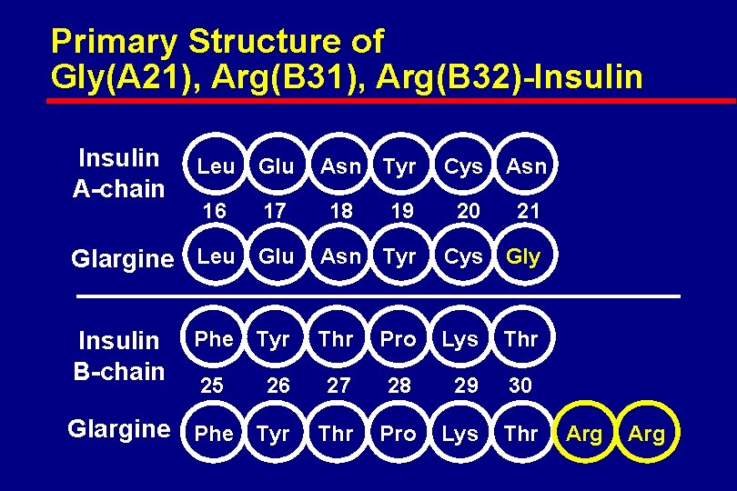 Primary Structure of Gly(A 21), Arg(B 32)-Insulin A-chain Leu Glu 16 17 Asn Tyr