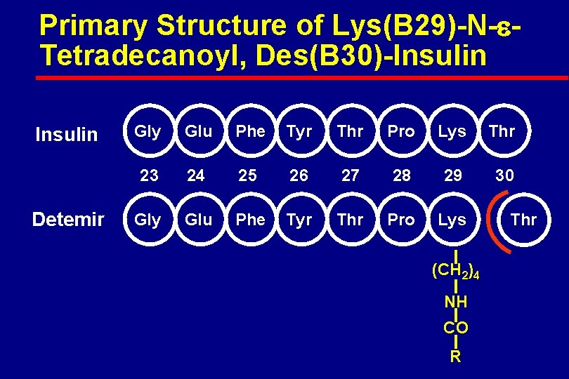 Primary Structure of Lys(B 29)-N- Tetradecanoyl, Des(B 30)-Insulin Detemir Gly Glu Phe Tyr Thr