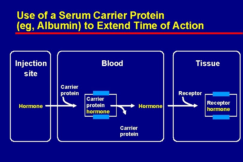 Use of a Serum Carrier Protein (eg, Albumin) to Extend Time of Action Injection