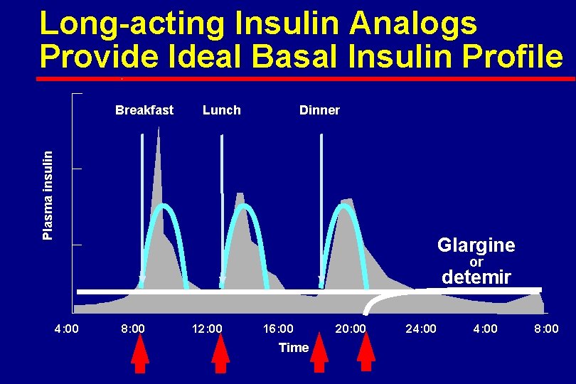 Long-acting Insulin Analogs Provide Ideal Basal Insulin Profile Lunch Dinner Plasma insulin Breakfast Glargine