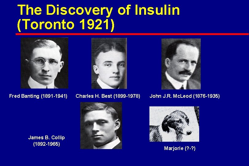 The Discovery of Insulin (Toronto 1921) Fred Banting (1891 -1941) James B. Collip (1892