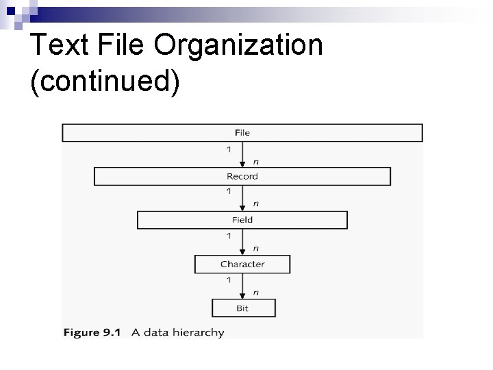 Text File Organization (continued) 