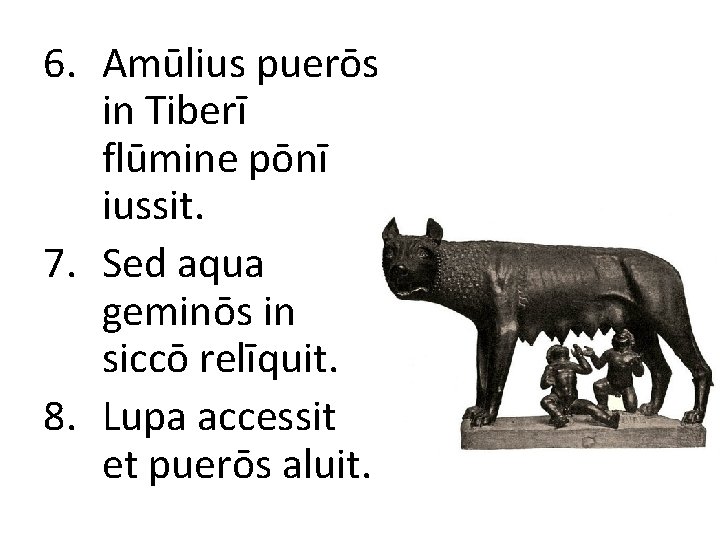 6. Amūlius puerōs in Tiberī flūmine pōnī iussit. 7. Sed aqua geminōs in siccō