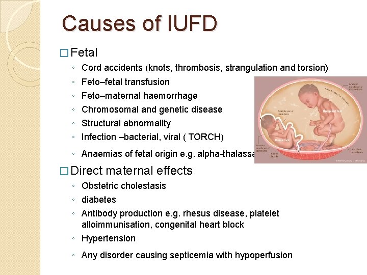 Causes of IUFD � Fetal ◦ ◦ ◦ Cord accidents (knots, thrombosis, strangulation and