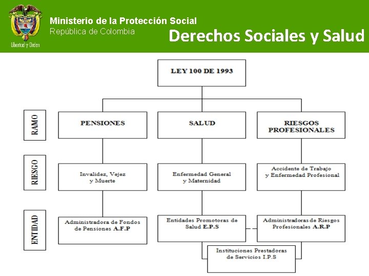Ministerio de la Protección Social República de Colombia Derechos Sociales y Salud 