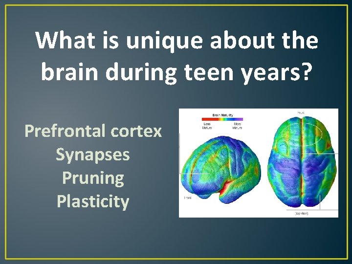 What is unique about the brain during teen years? Prefrontal cortex Synapses Pruning Plasticity