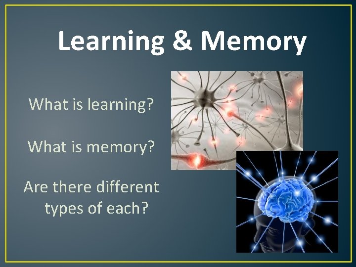 Learning & Memory What is learning? What is memory? Are there different types of