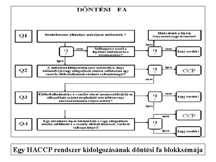 Egy HACCP rendszer kidolgozásának döntési fa blokksémája 