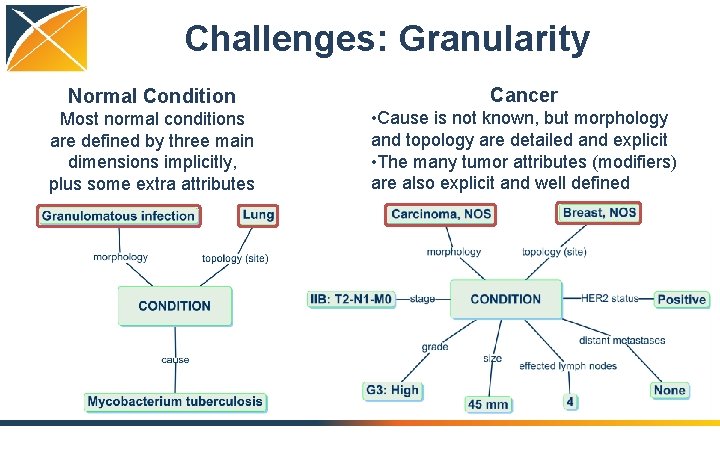 Challenges: Granularity Normal Condition Cancer Most normal conditions are defined by three main dimensions