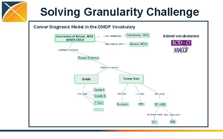 Solving Granularity Challenge Cancer Diagnosis Model in the OMOP Vocabulary Added vocabularies: 