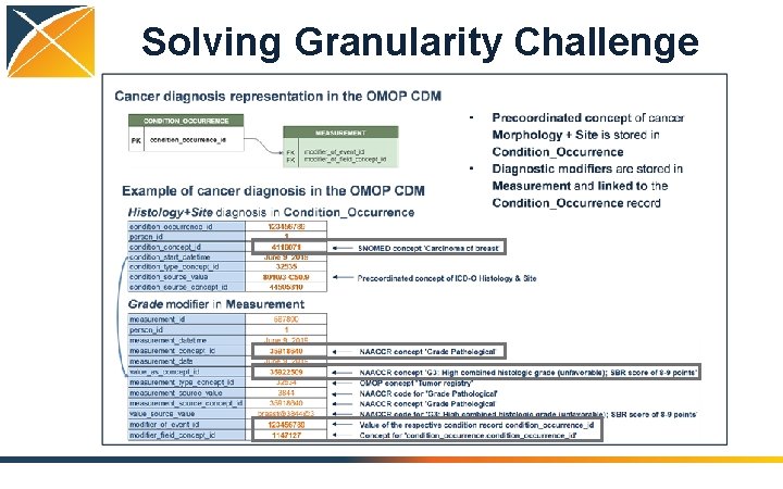 Solving Granularity Challenge 