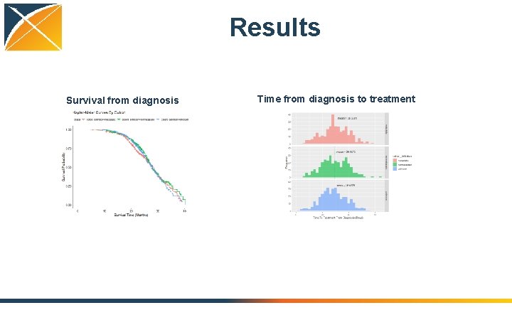 Results Survival from diagnosis Time from diagnosis to treatment 