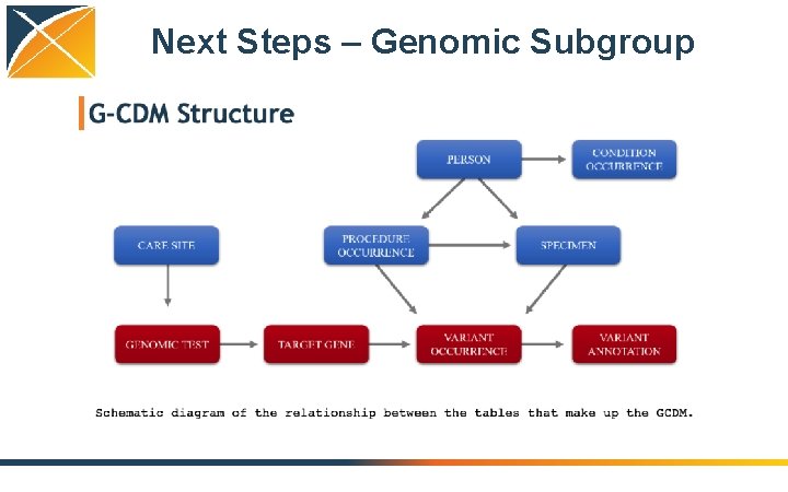 Next Steps – Genomic Subgroup 