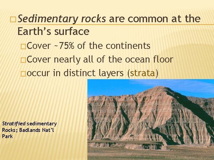 � Sedimentary rocks are common at the Earth’s surface �Cover ~75% of the continents