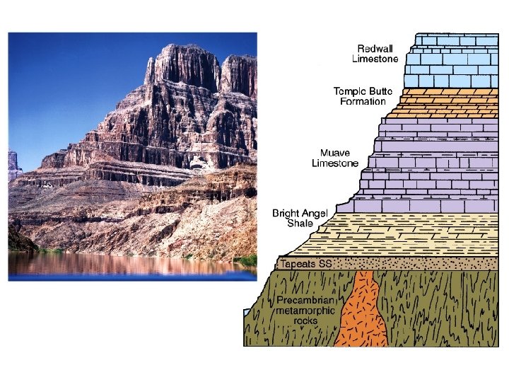 Layered sedimentary rocks exposed in the Grand Canyon, AZ 