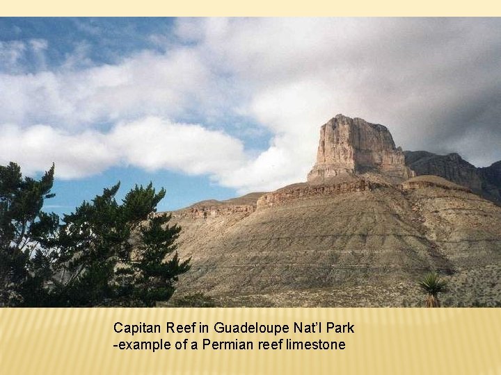 Capitan Reef in Guadeloupe Nat’l Park -example of a Permian reef limestone 