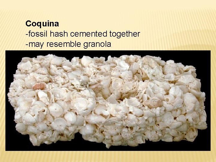 Coquina -fossil hash cemented together -may resemble granola 