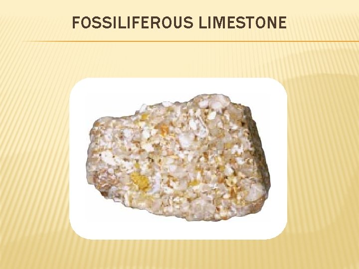 FOSSILIFEROUS LIMESTONE 