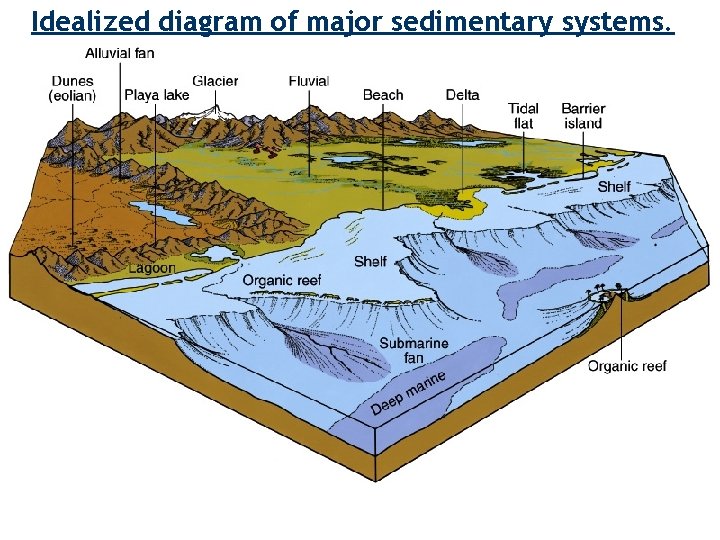 Idealized diagram of major sedimentary systems. 