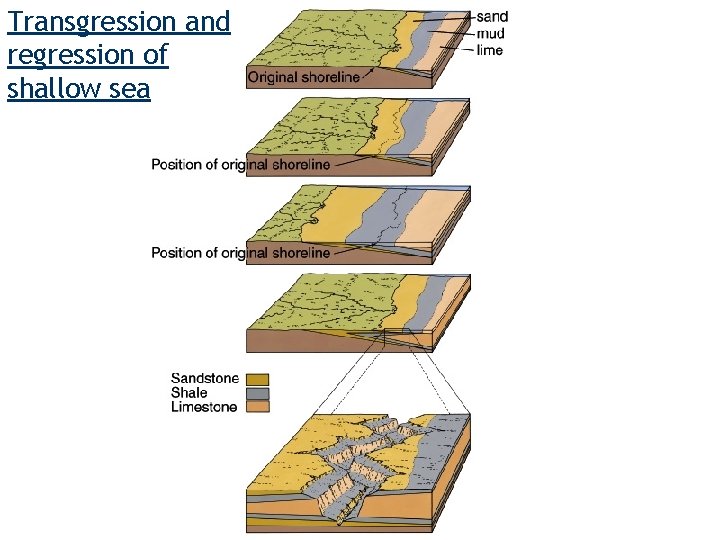 Transgression and regression of shallow sea 