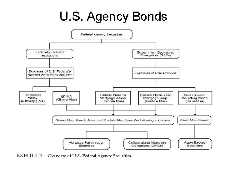 U. S. Agency Bonds 