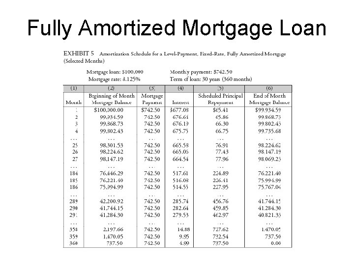 Fully Amortized Mortgage Loan 