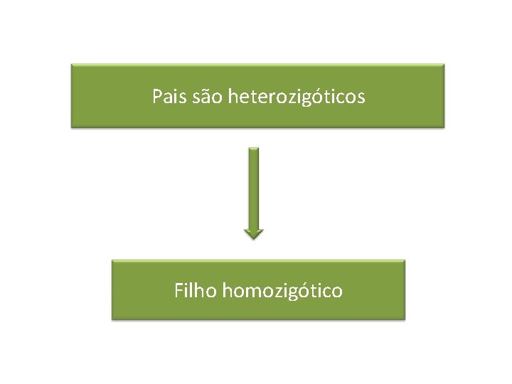 Pais são heterozigóticos Filho homozigótico 