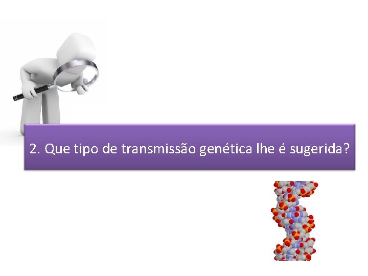 2. Que tipo de transmissão genética lhe é sugerida? 