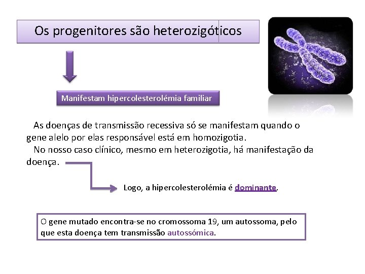 Os progenitores são heterozigóticos Manifestam hipercolesterolémia familiar As doenças de transmissão recessiva só se