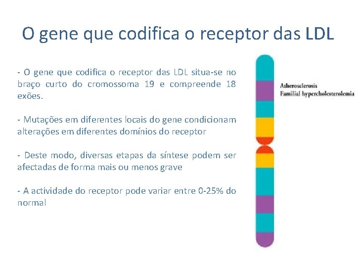 O gene que codifica o receptor das LDL - O gene que codifica o