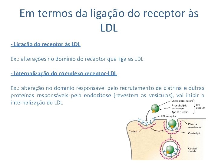 Em termos da ligação do receptor às LDL - Ligação do receptor às LDL
