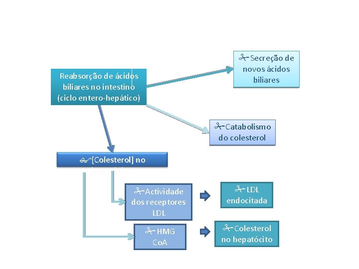  Secreção de novos ácidos biliares Reabsorção de ácidos biliares no intestino (ciclo entero-hepático)