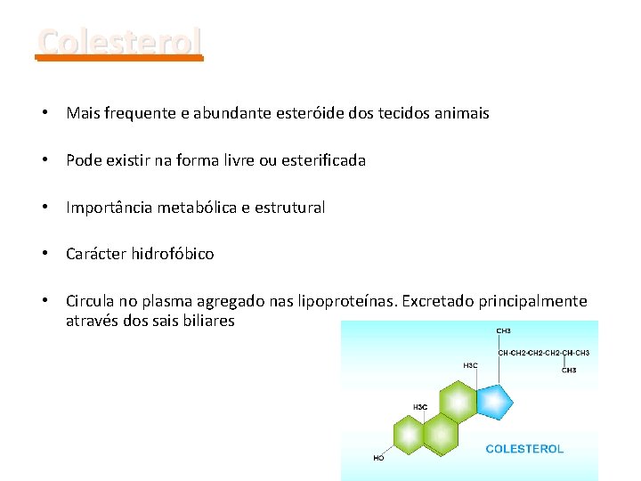 Colesterol • Mais frequente e abundante esteróide dos tecidos animais • Pode existir na