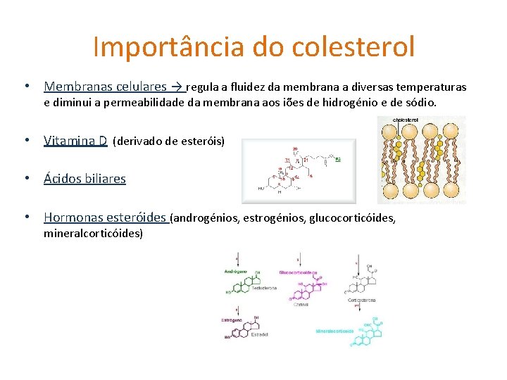 Importância do colesterol • Membranas celulares → regula a fluidez da membrana a diversas