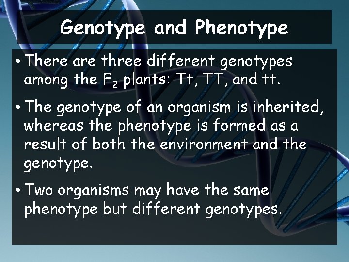 Genotype and Phenotype • There are three different genotypes among the F 2 plants: