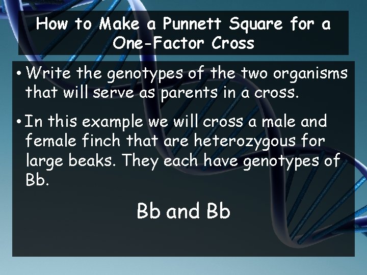 How to Make a Punnett Square for a One-Factor Cross • Write the genotypes