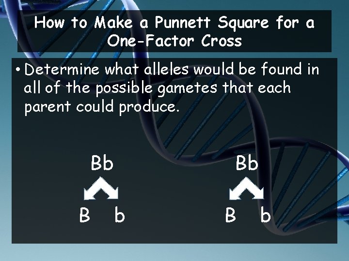 How to Make a Punnett Square for a One-Factor Cross • Determine what alleles