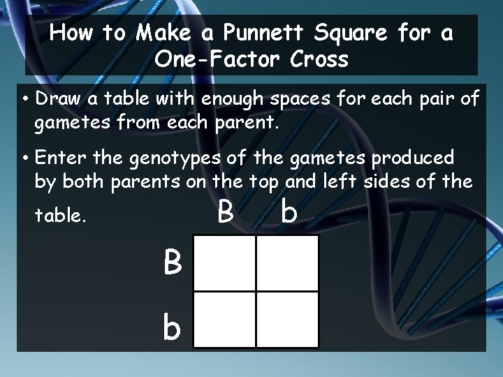 How to Make a Punnett Square for a One-Factor Cross • Draw a table