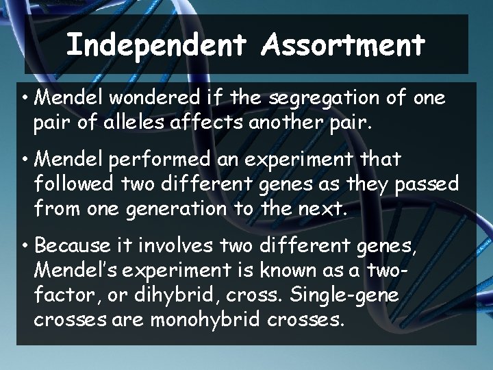 Independent Assortment • Mendel wondered if the segregation of one pair of alleles affects