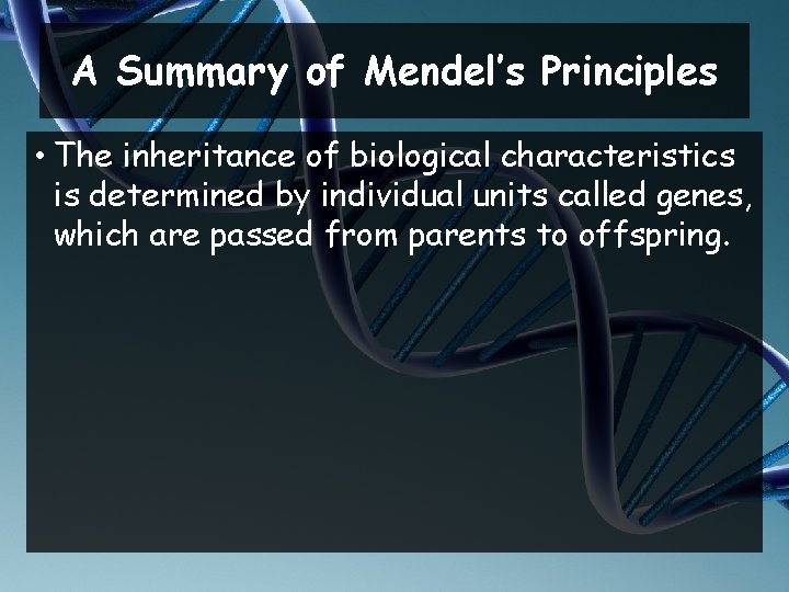 A Summary of Mendel’s Principles • The inheritance of biological characteristics is determined by