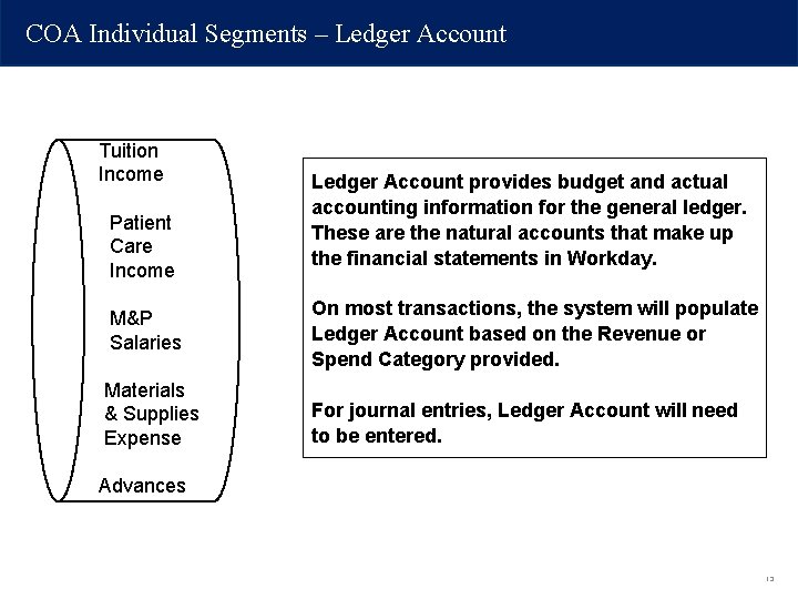 COA Individual Segments – Ledger Account Tuition Income Patient Care Income Ledger Account provides