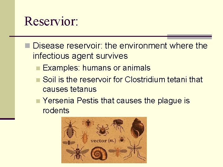 Reservior: n Disease reservoir: the environment where the infectious agent survives Examples: humans or