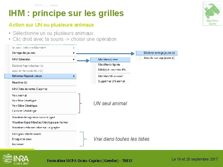 IHM : principe sur les grilles Action sur UN ou plusieurs animaux • Sélectionne