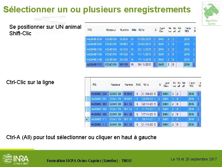 Sélectionner un ou plusieurs enregistrements Se positionner sur UN animal Shift-Clic Ctrl-Clic sur la