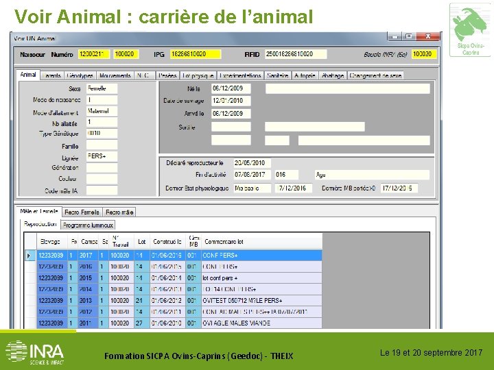 Voir Animal : carrière de l’animal Formation SICPA Ovins-Caprins (Geedoc) - THEIX Le 19