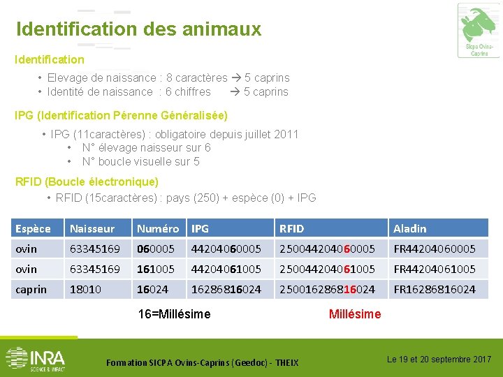 Identification des animaux Identification • Elevage de naissance : 8 caractères 5 caprins •