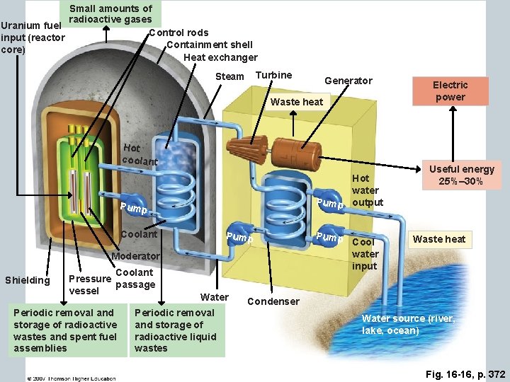 Small amounts of radioactive gases Uranium fuel Control rods input (reactor Containment shell core)